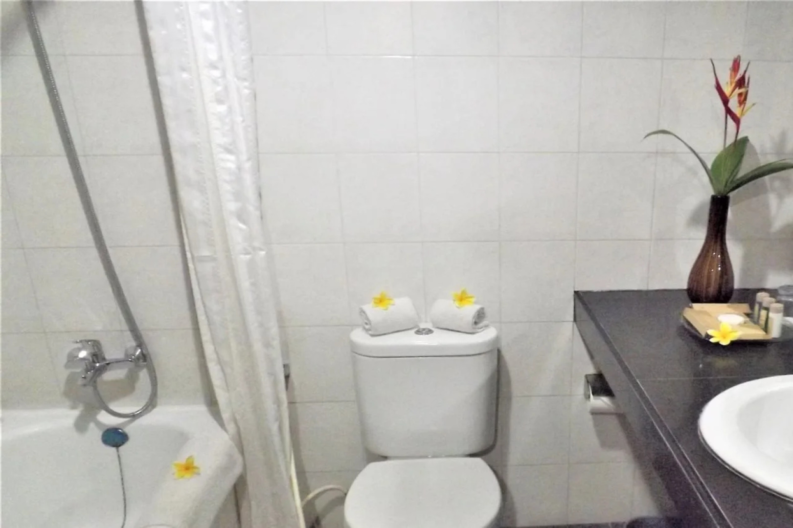 Parkside Mandarin Hotel Pekalongan