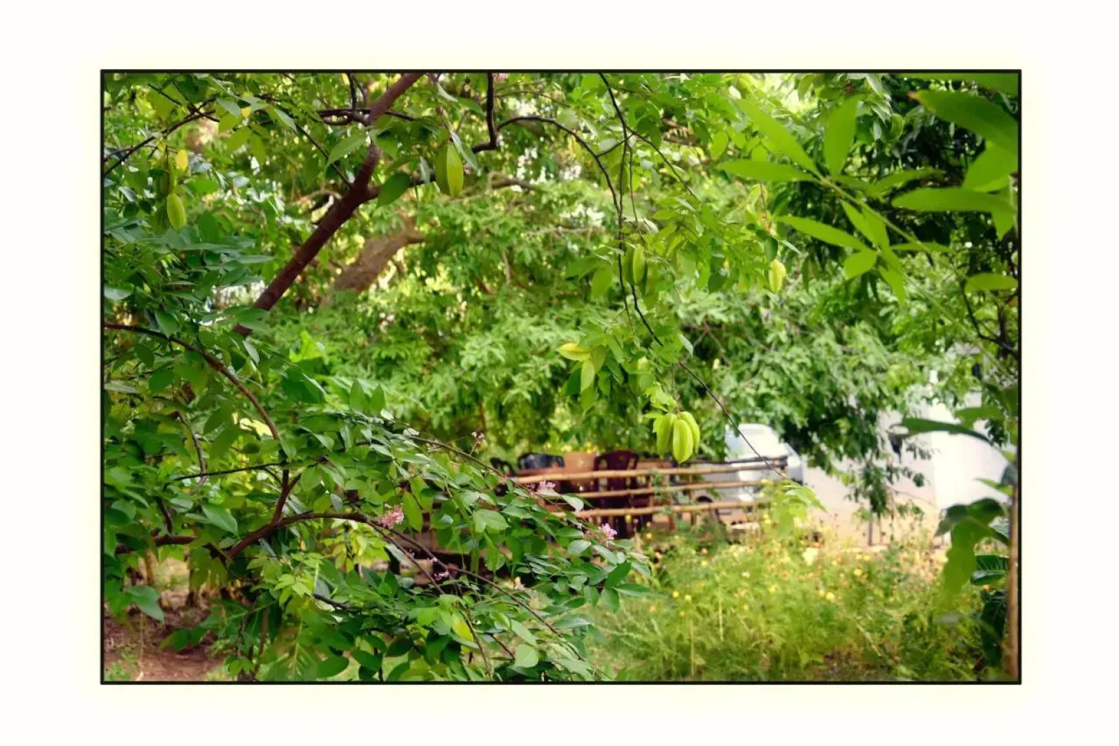 Sun and Green Eco Lodge