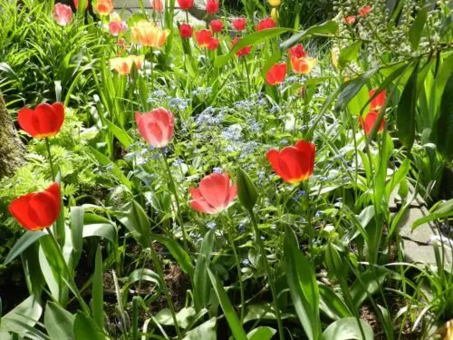 Serenity Bed and Breakfast