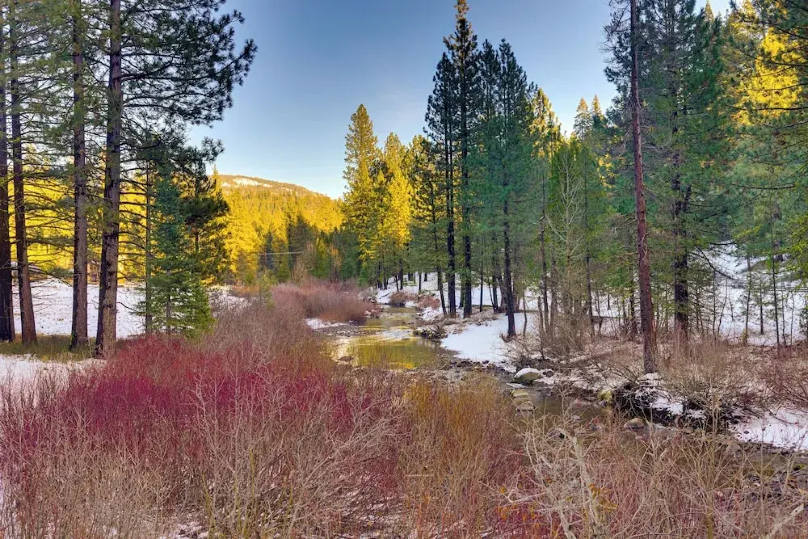 5 Mi to Dodge Ridge: Cabin in Strawberry