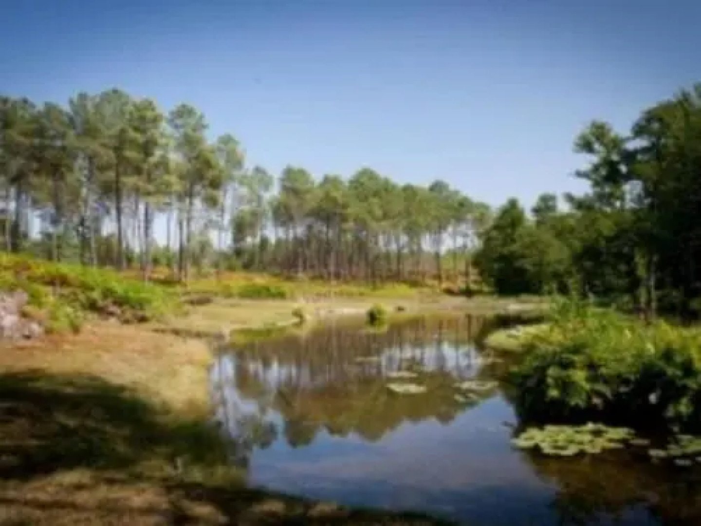 Gite Pouydesseaux, 5 pièces, 6 personnes - FR-1-360-20