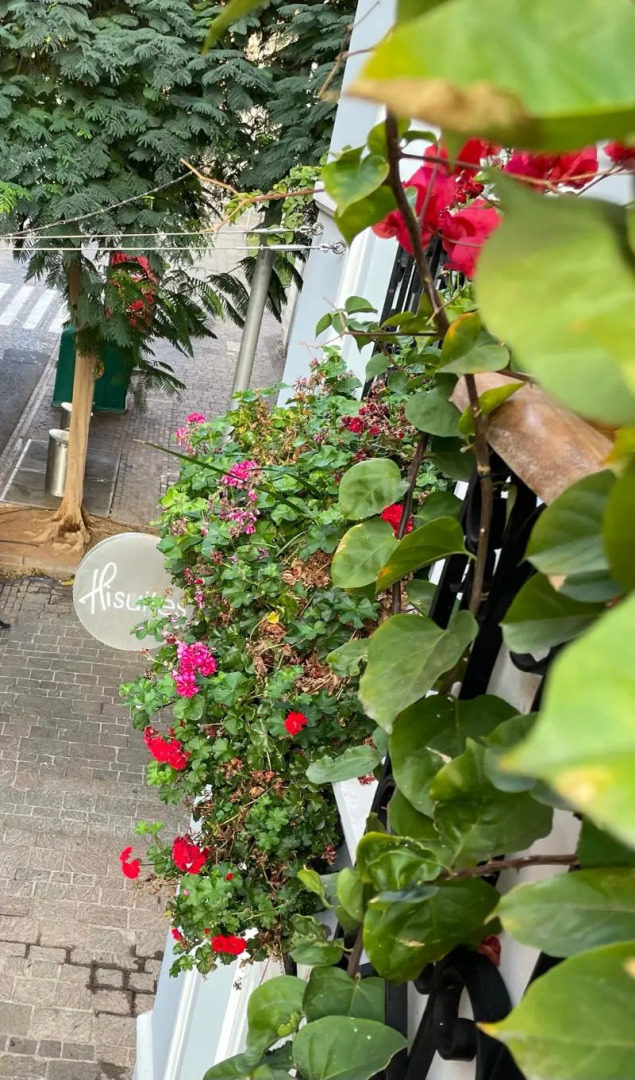 Hotel emblemático Hi Suites