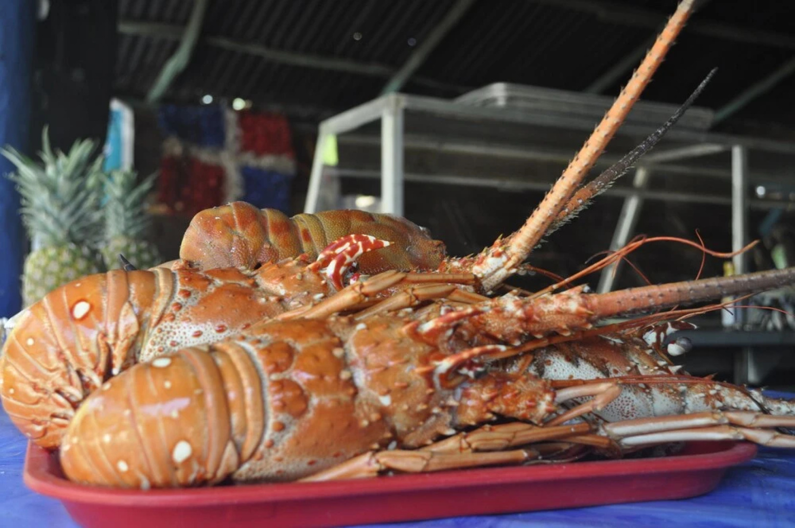 Hotel La Polilla Bar and Restaurant