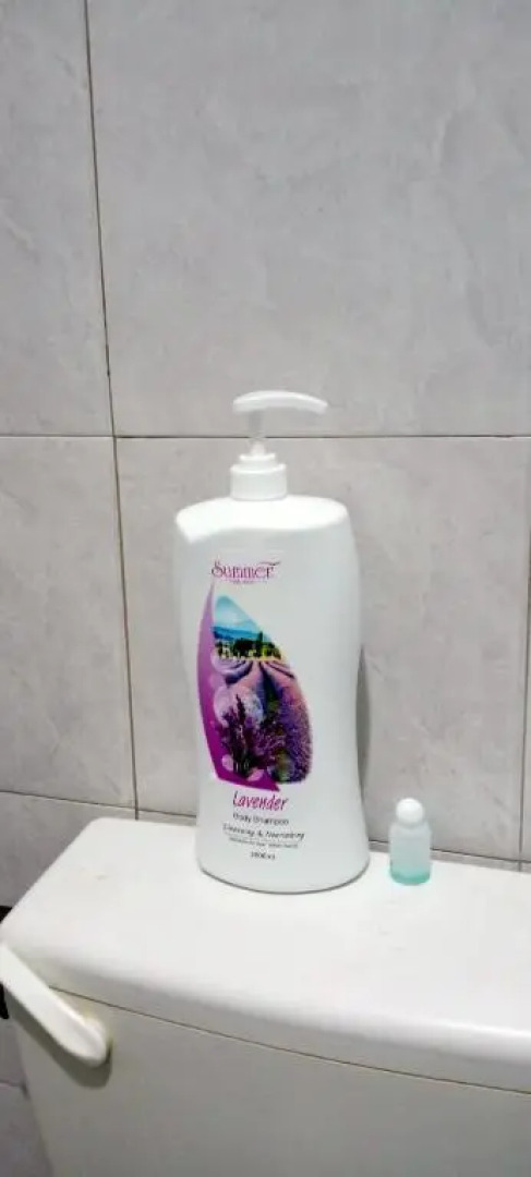 Belebar Studio Room Taman Negara Pahang Malaysia