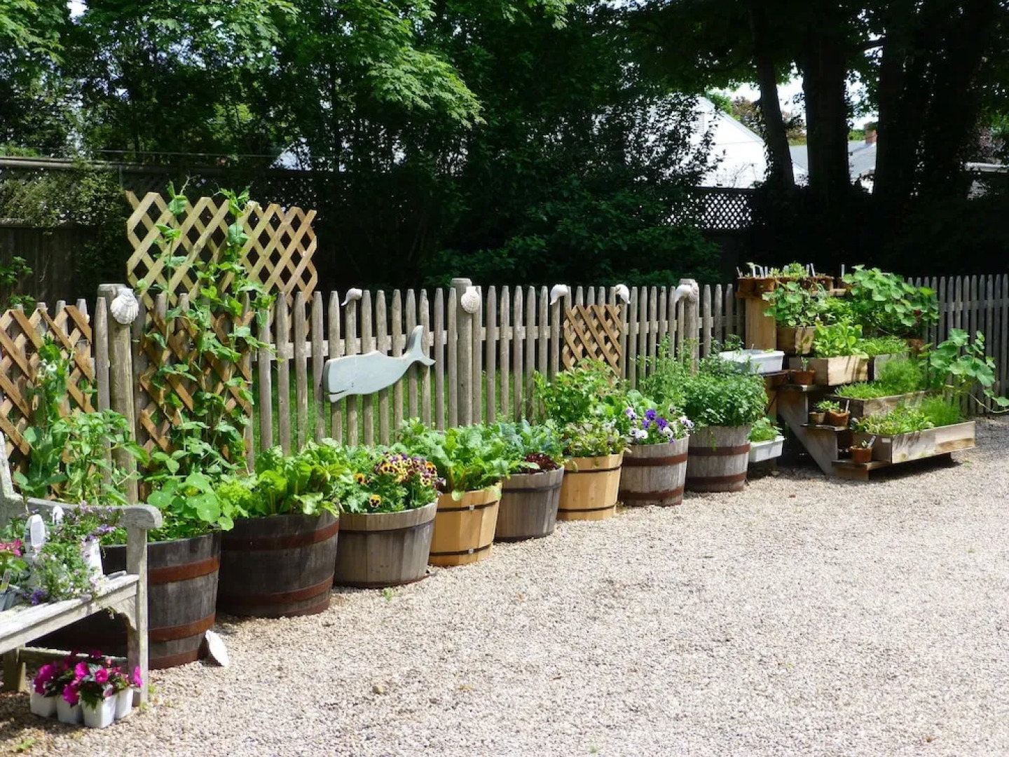 Bluefish Bed & Breakfast