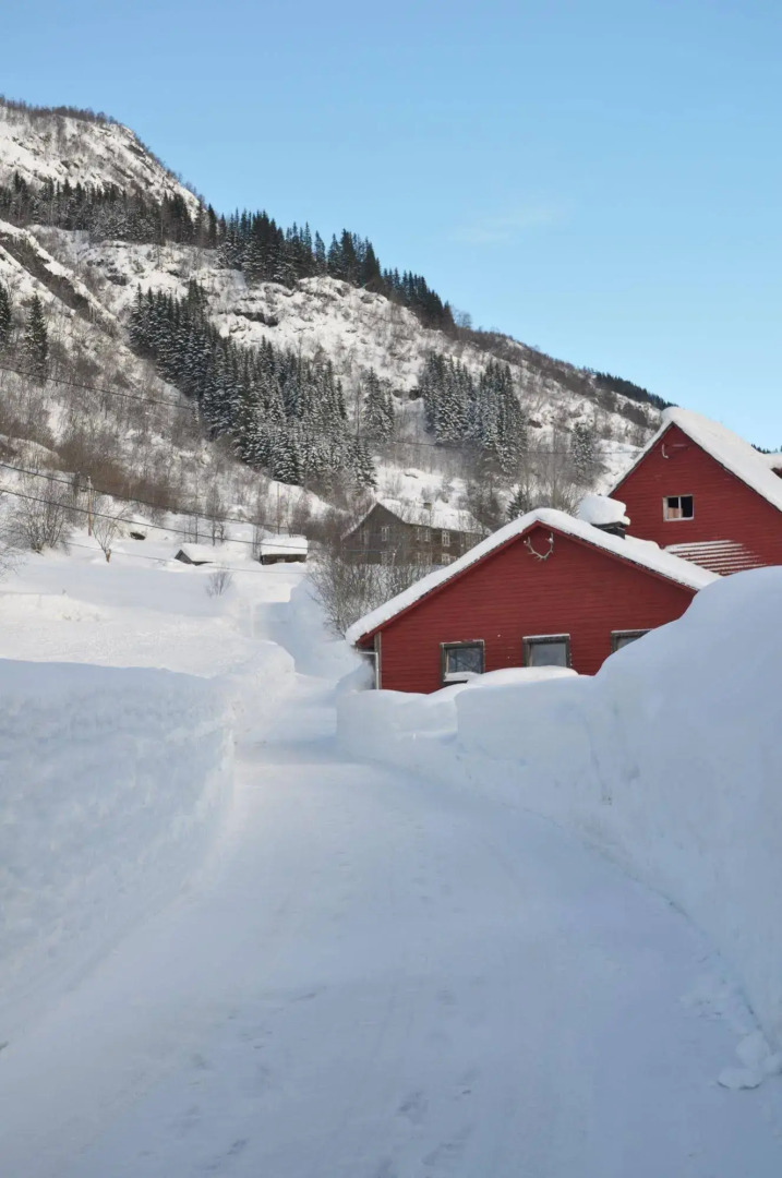 Voss Fjell Hotel Og Restaurant