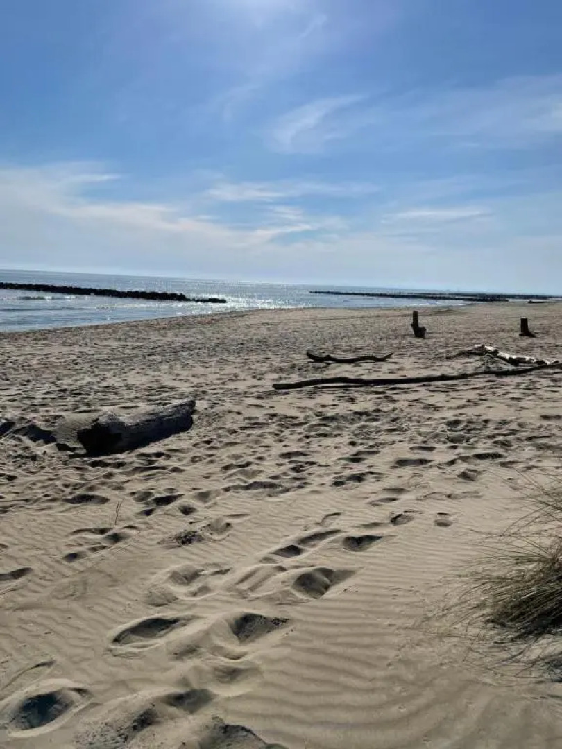 Studio vue port, belle terrasse, piscine