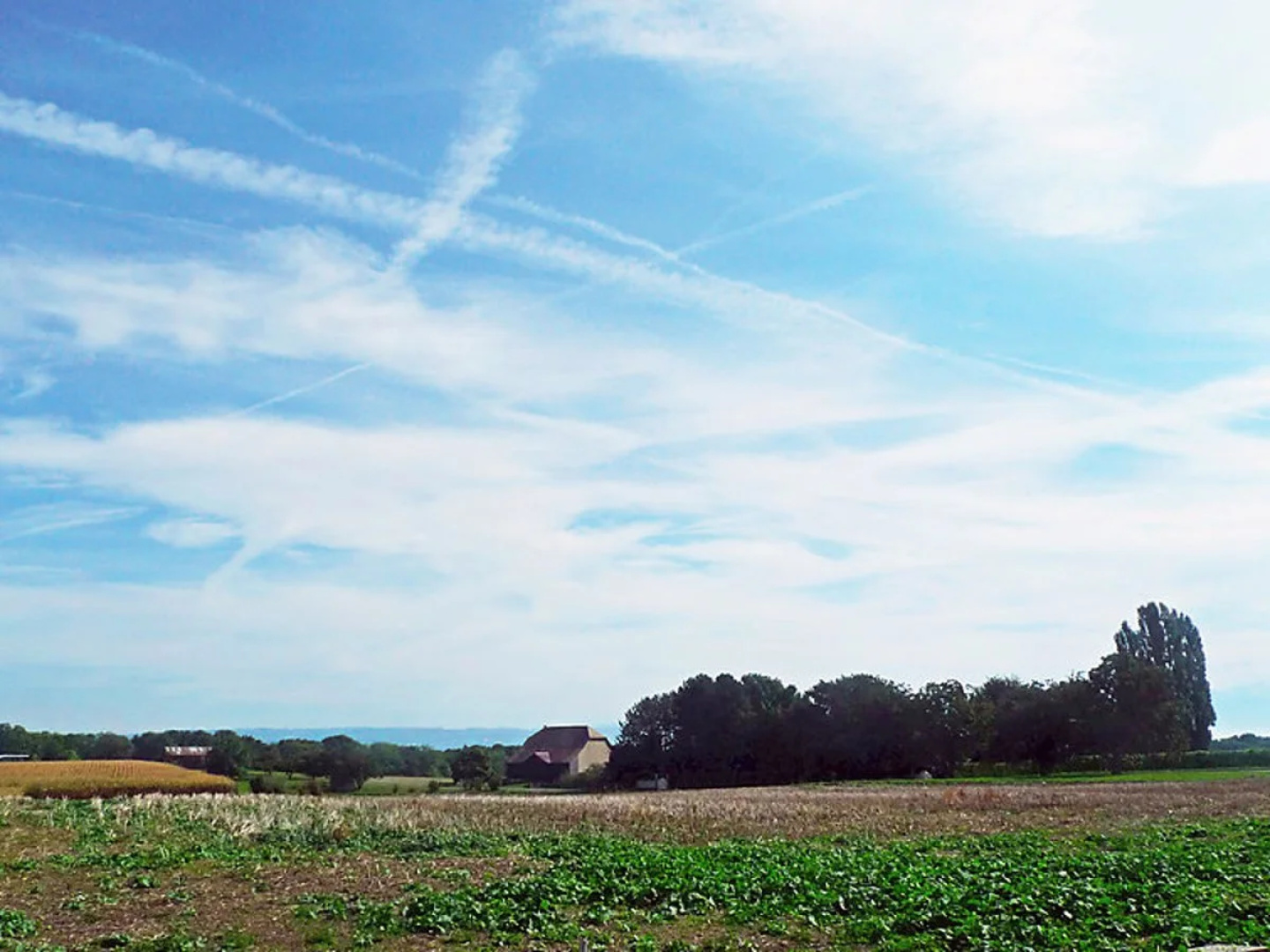 Route de Coinsin