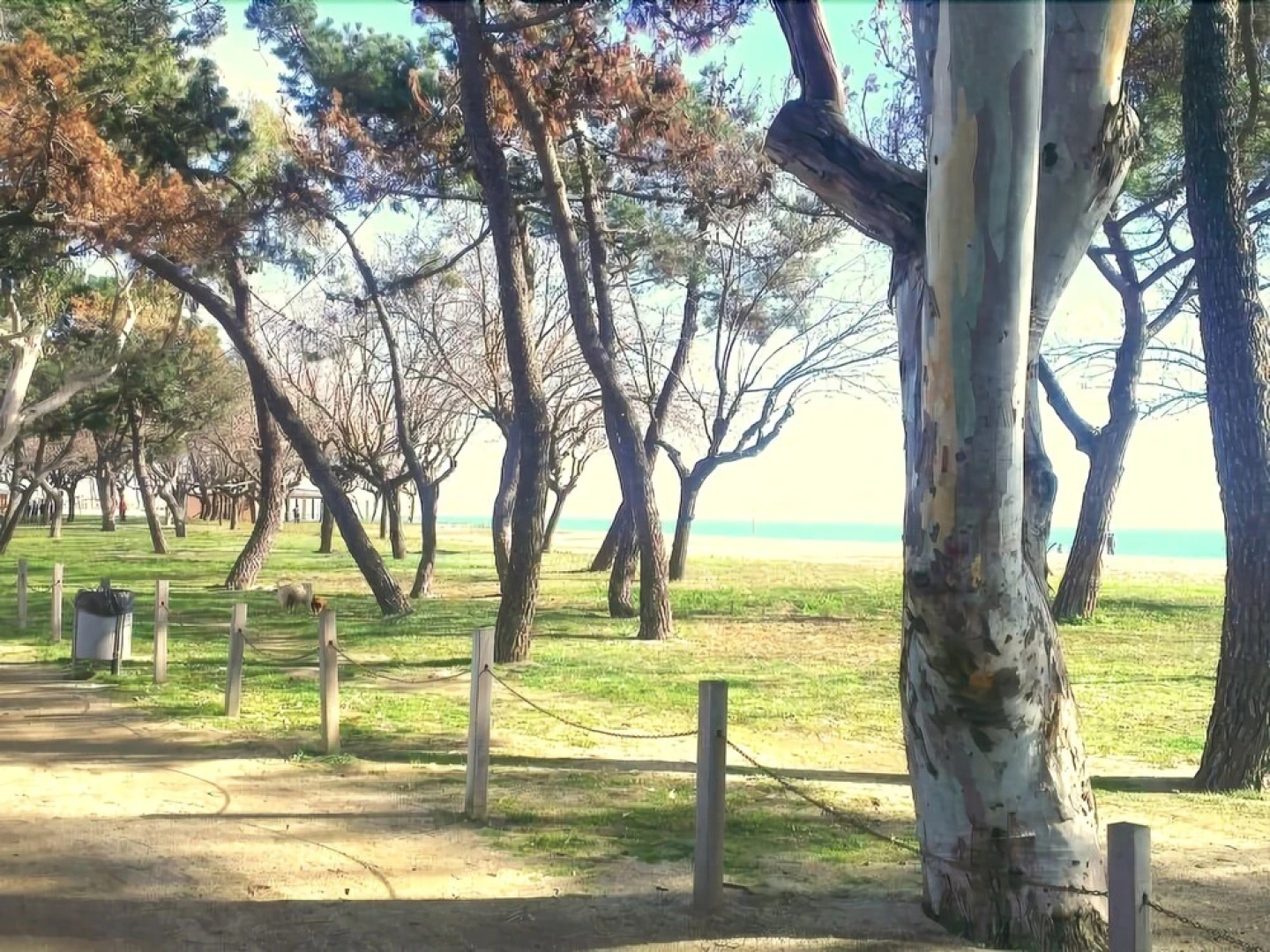 Apartamento Consulat de Mar