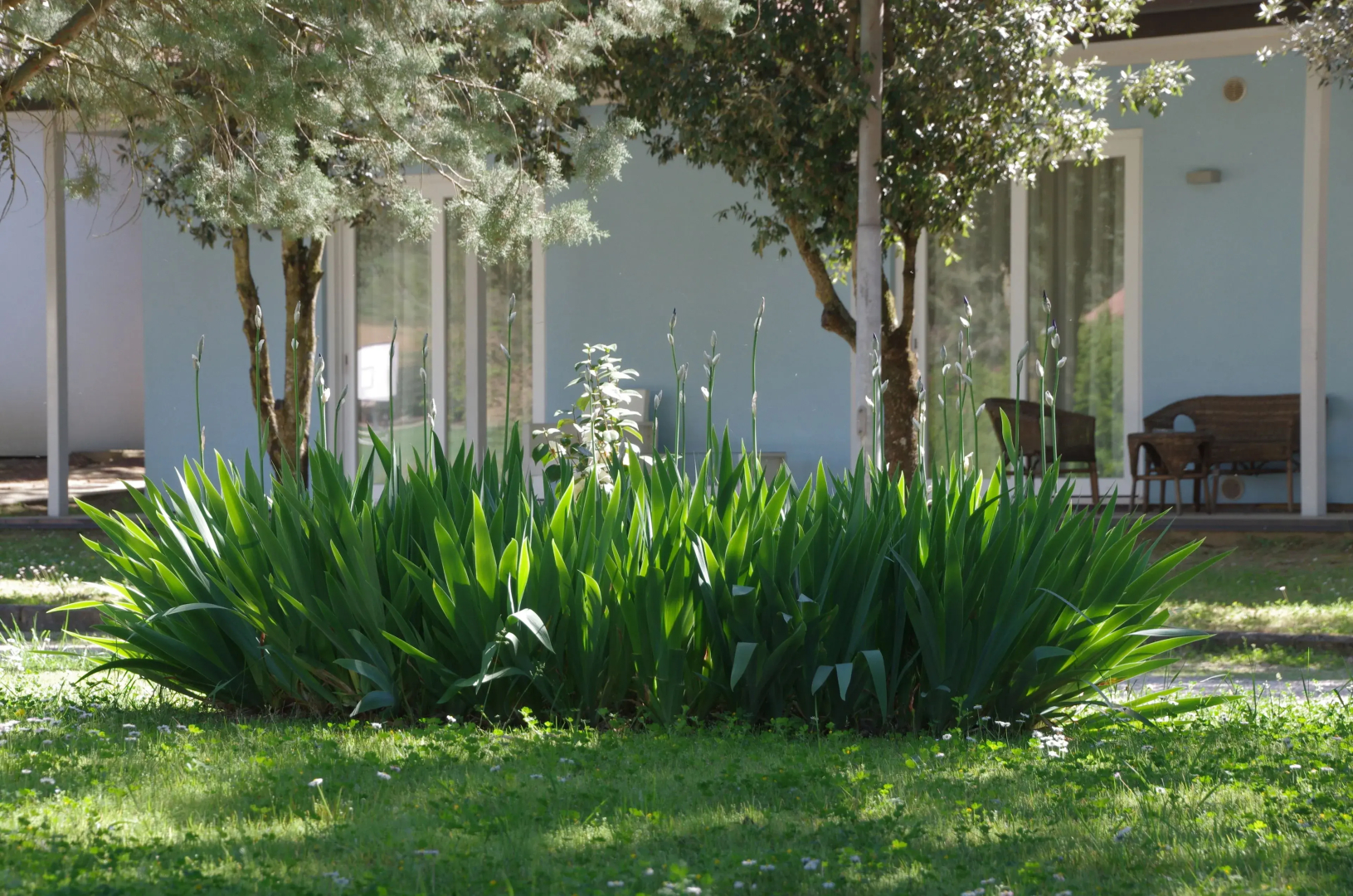 Colleverde Country House