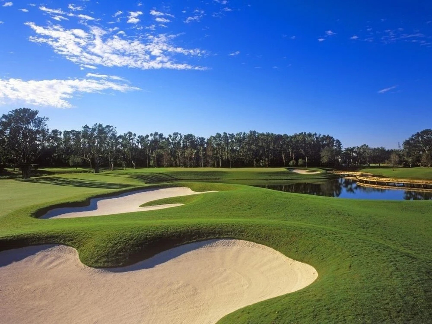 Palm Bay Delight, Large Grass Yard, 20 Minutes To The Beach 3 Bedroom Home