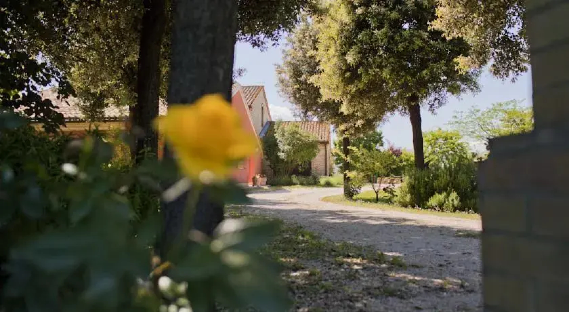 Agriturismo La Morla