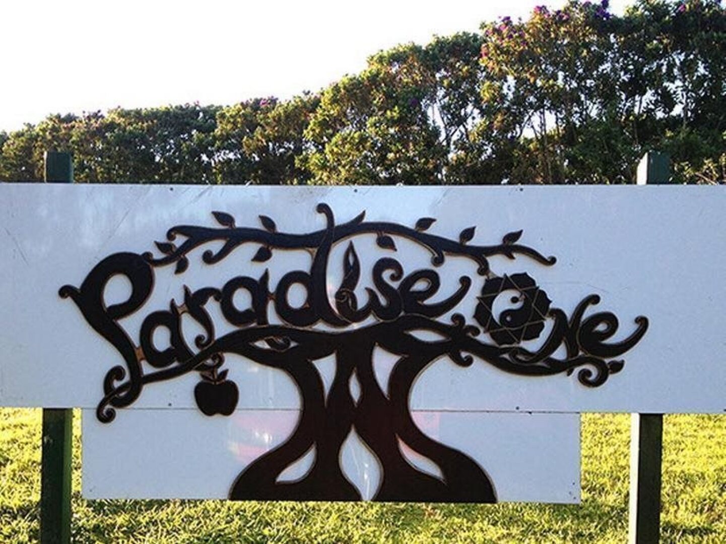 Paradise One Retreat