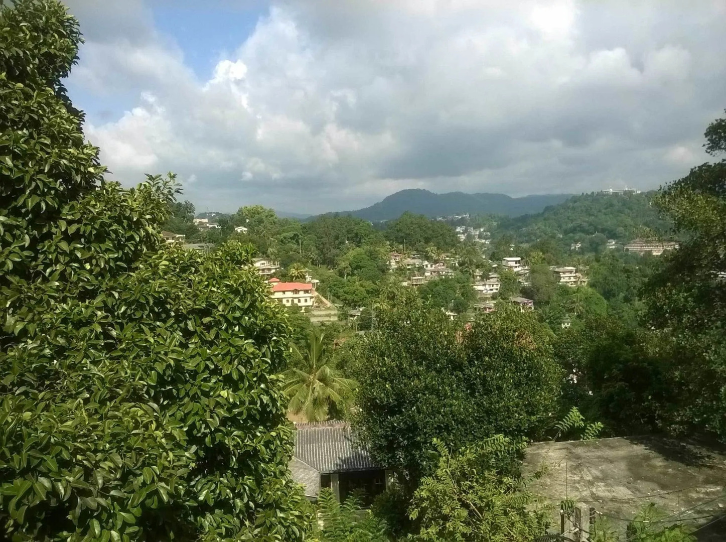 Sunny Hill Residence