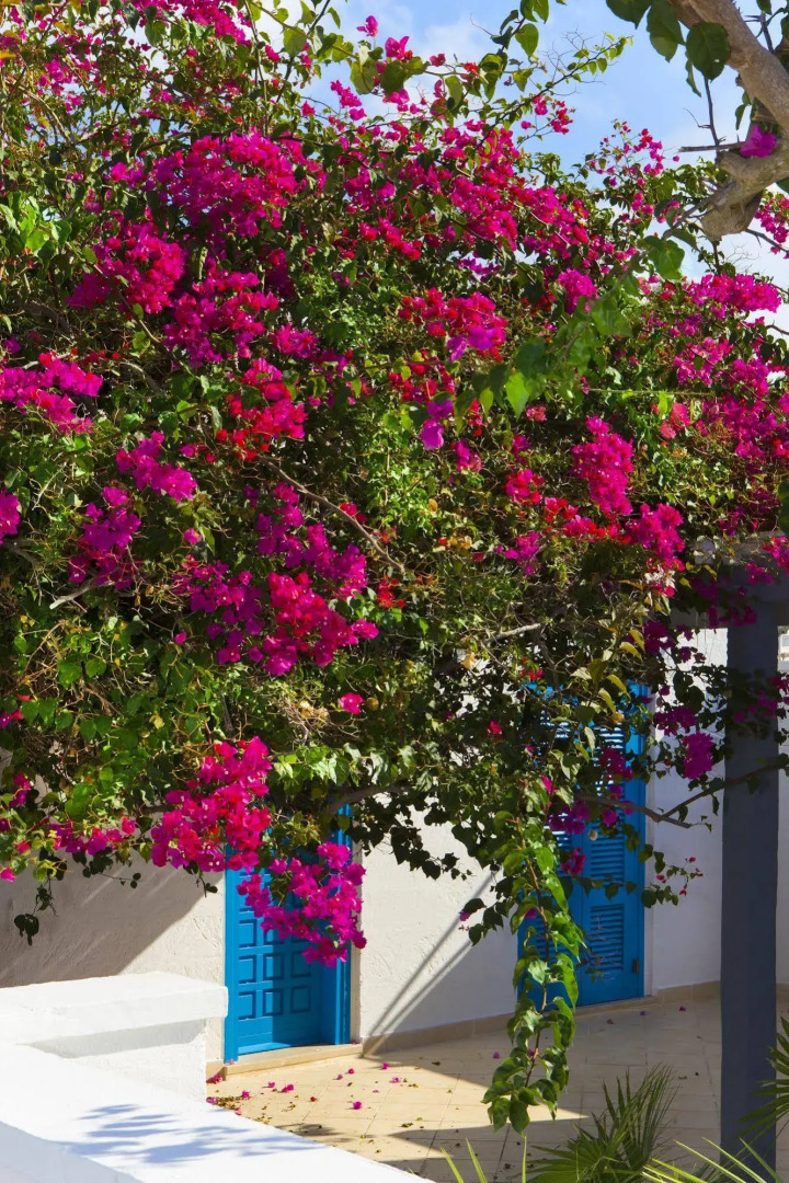 Villaggio Conca Specchiulla