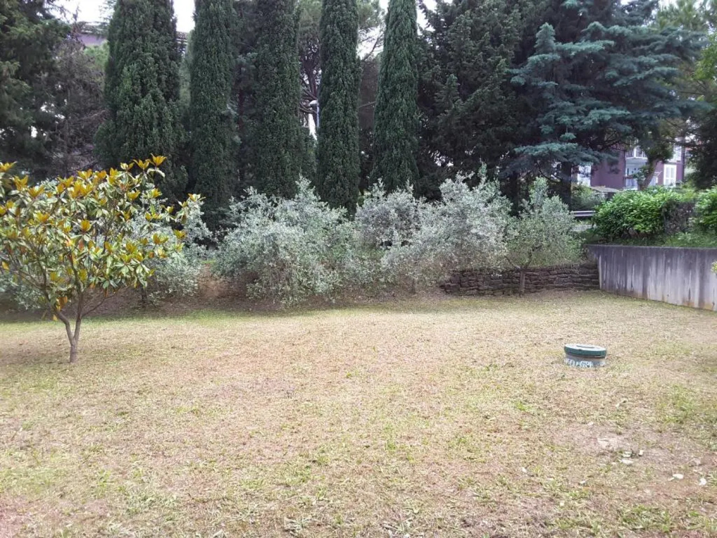 Apartma Sol, Izola, San Simon