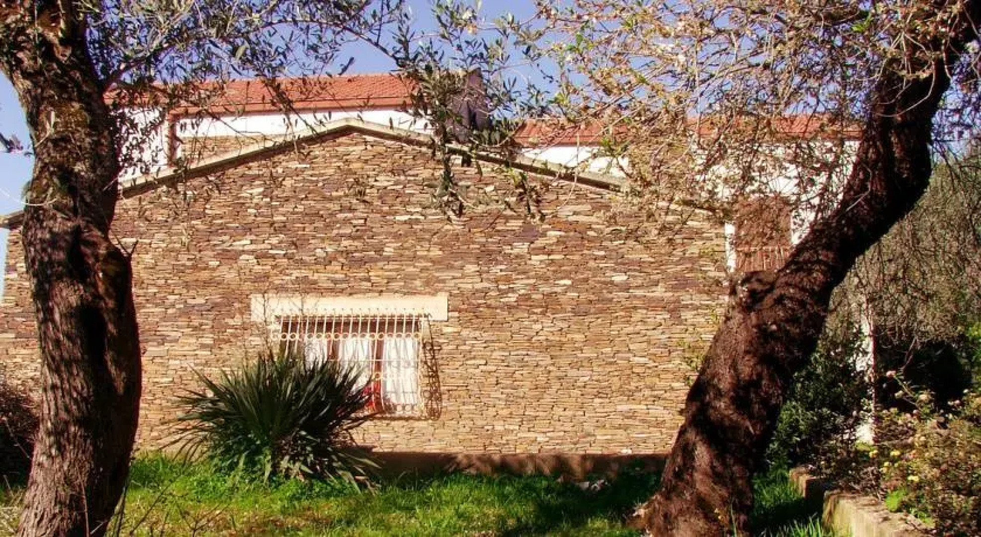 B&B Villa la Ginestra