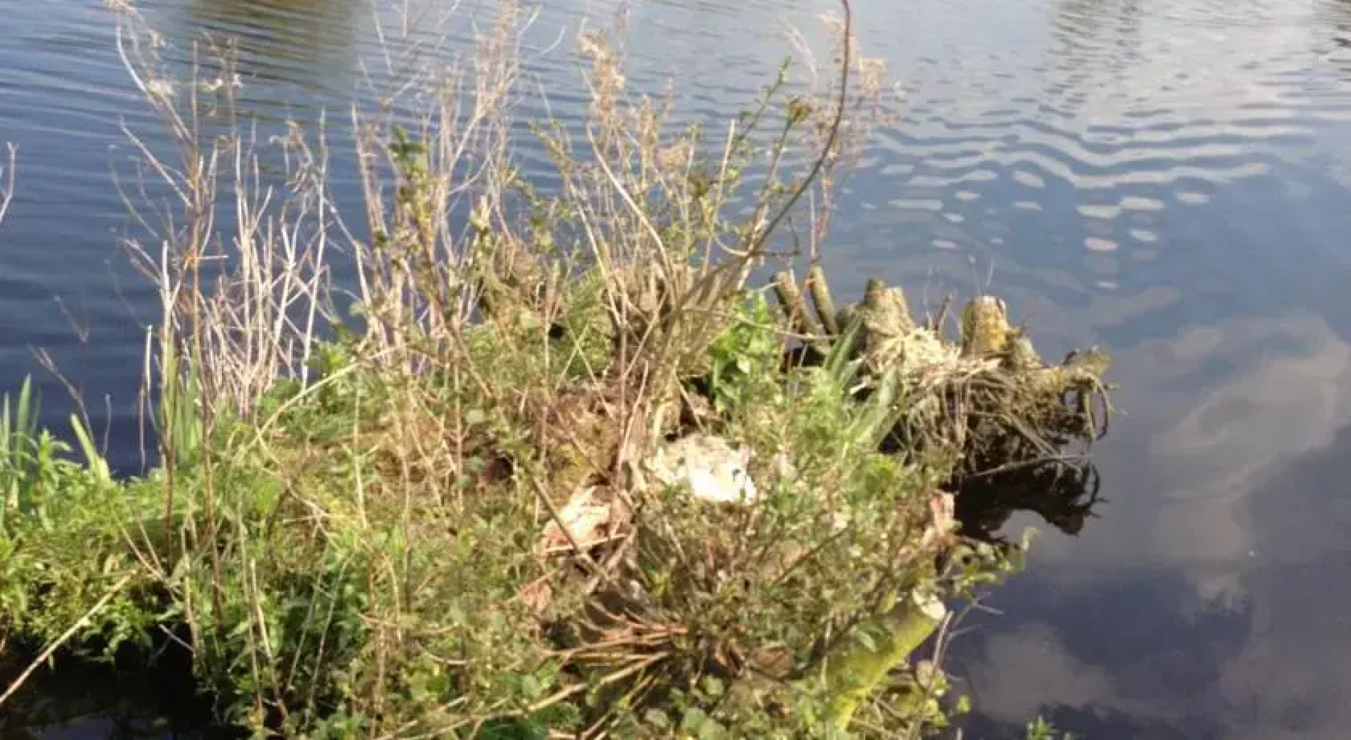 Holiday home Koetshuis de Polderruimte