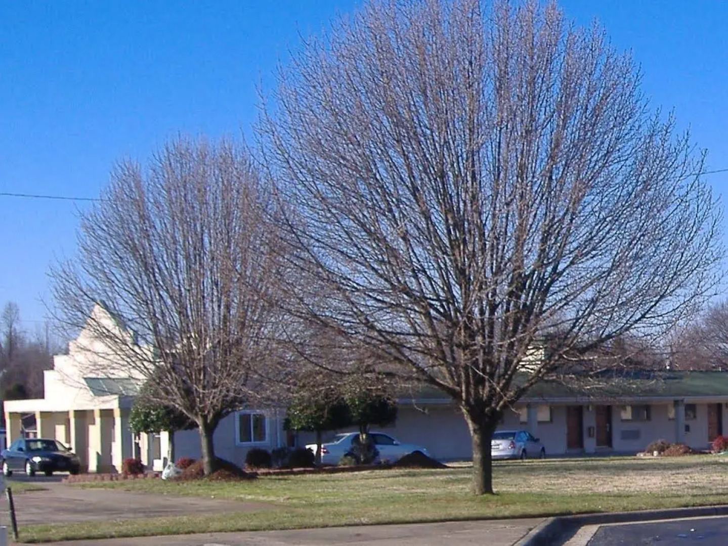 Regency Inn & Suites Greensboro