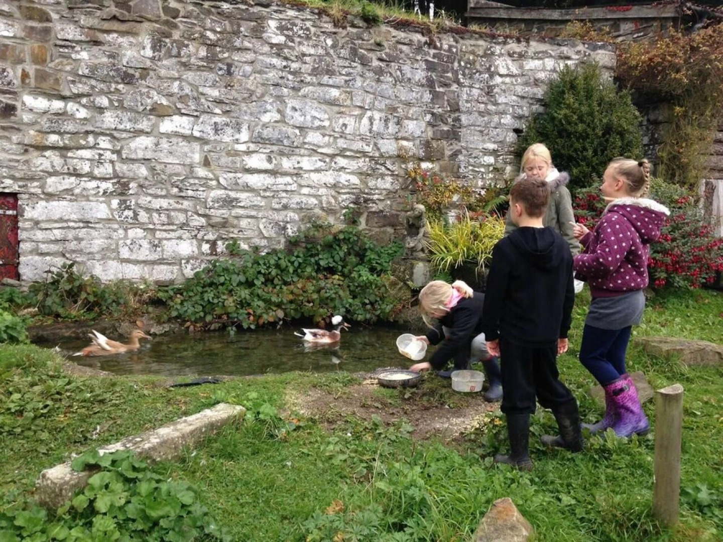 Cosy Stone Cottage on Llanllwni Mountain