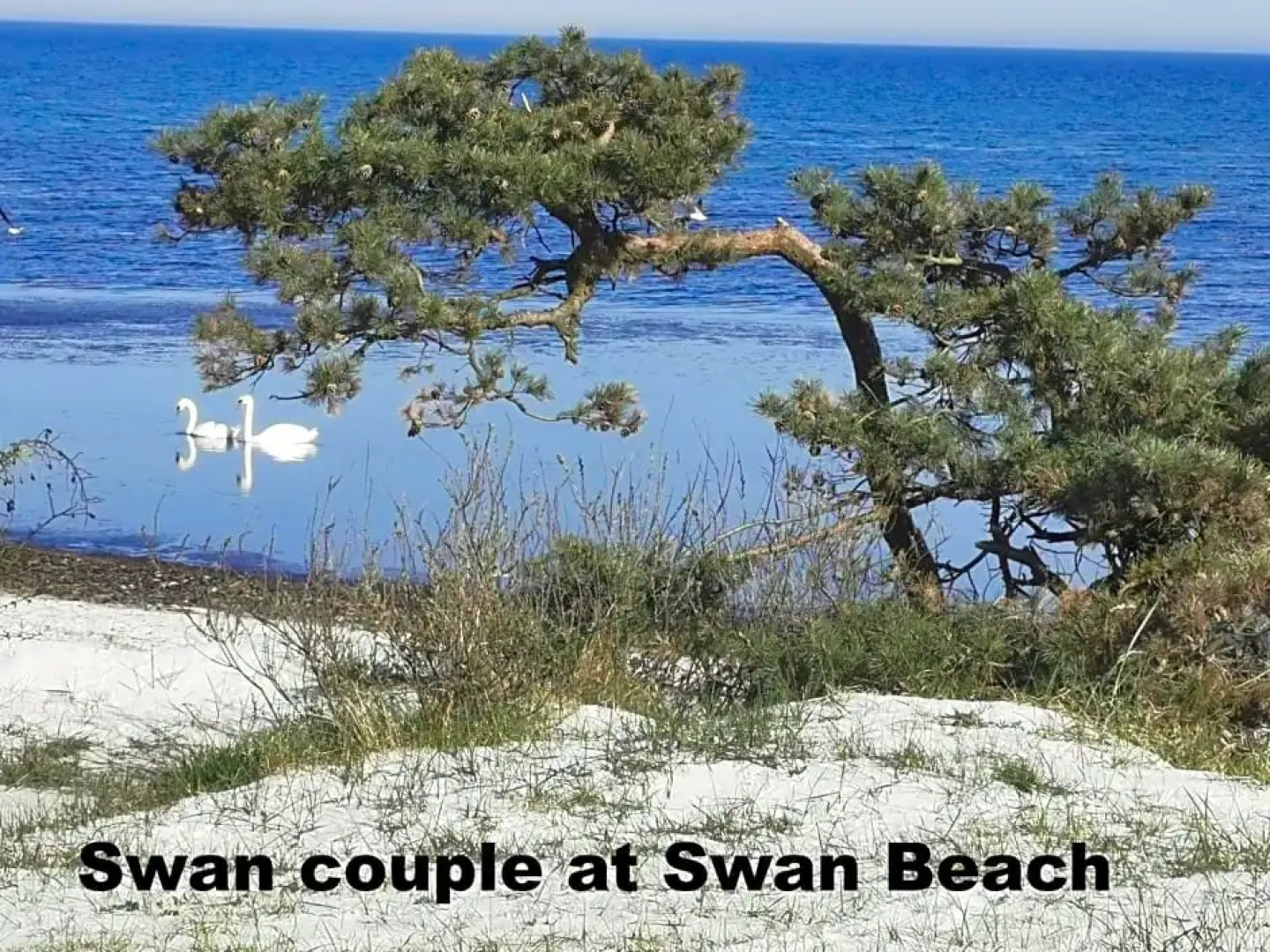 The FIG Studio - "Den Gule Svane" Guest House - near Rønne & Beach