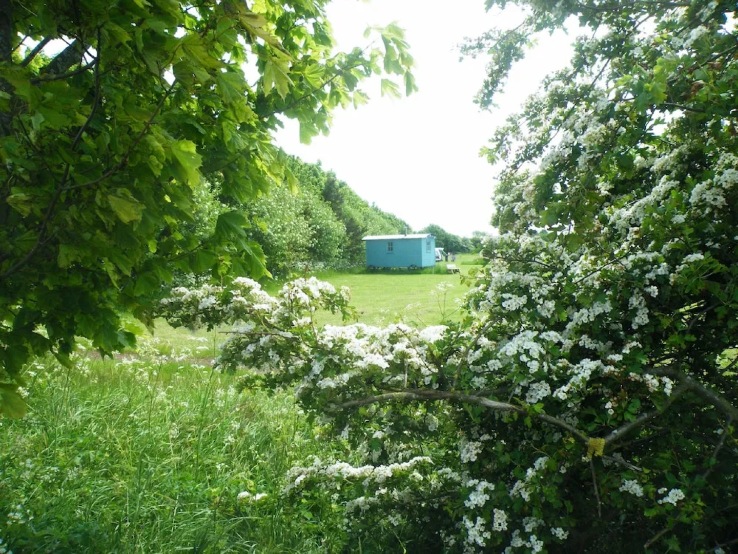 Highfield Farm