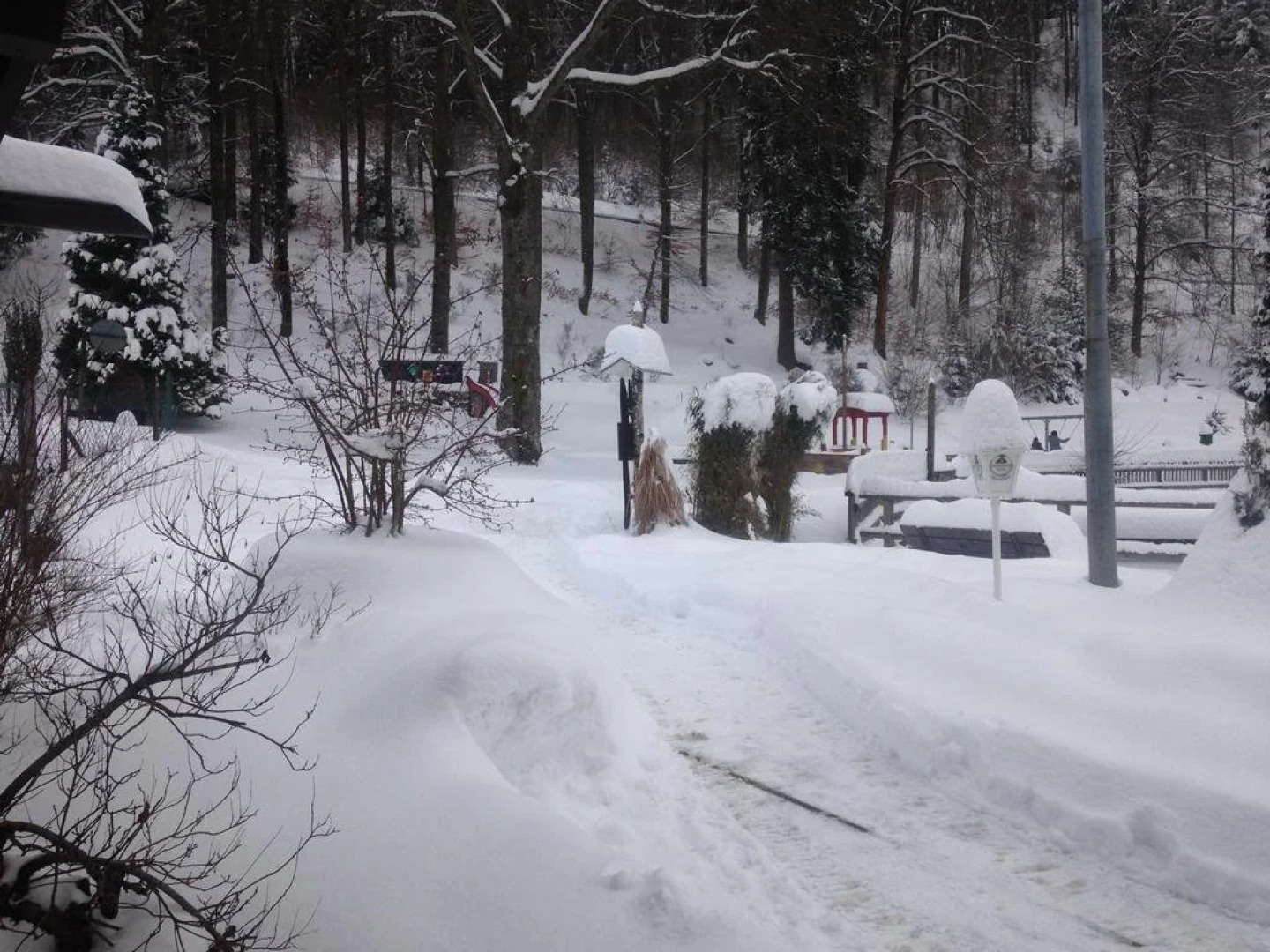 Pension & Apartments Am Bergsee