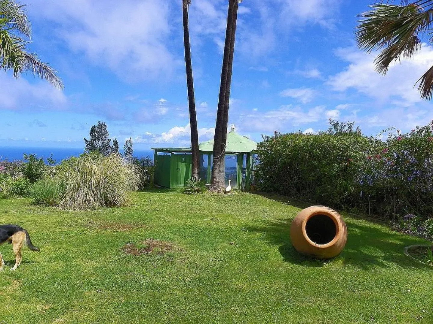 Ferienhaus-Bungalow Casa Palopique