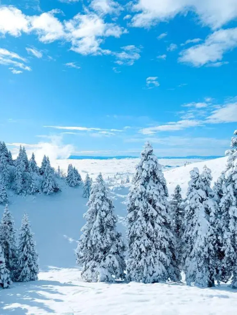 Domžalski Dom Na Mali Planini