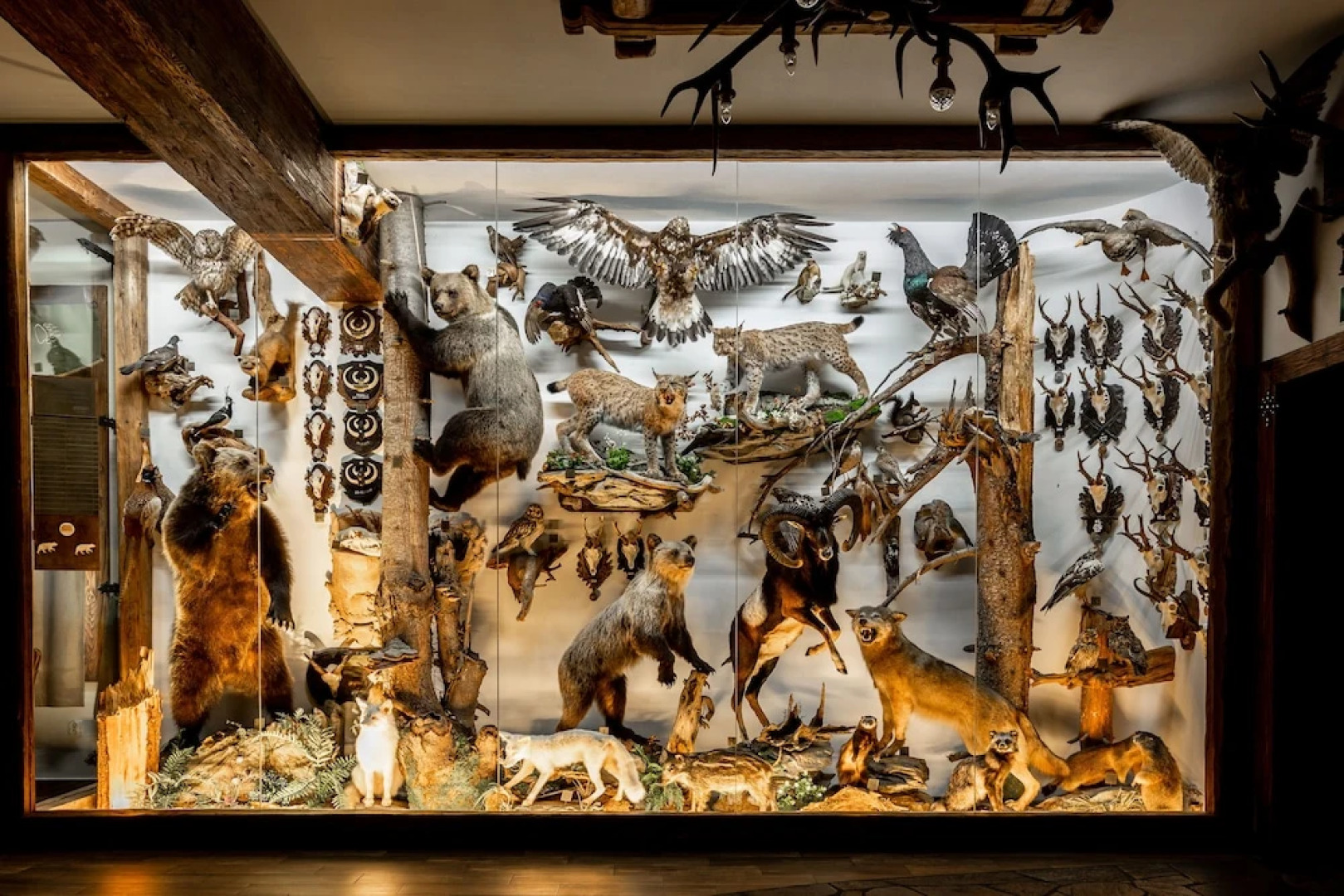 Dworek Mysliwski Hubert