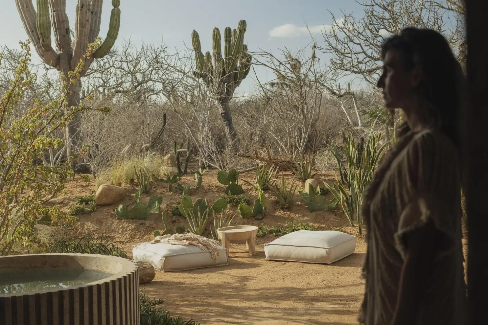 Paradero Todos Santos - Exclusive Experiences