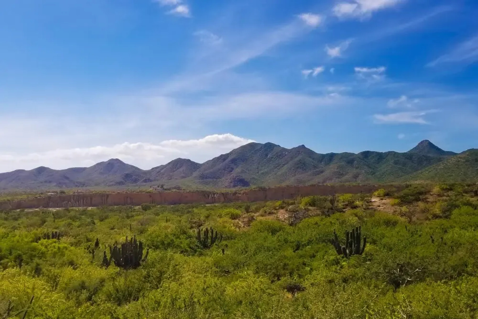 Oceanfront Getaway Near Cabo Pulmo: Villa Bahia de los Frailes