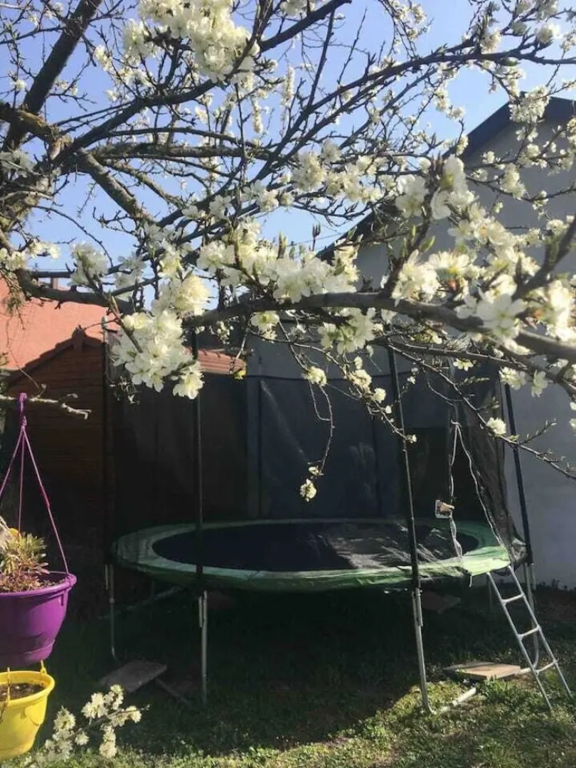 Gîte Magnolia CHÂTENOIS