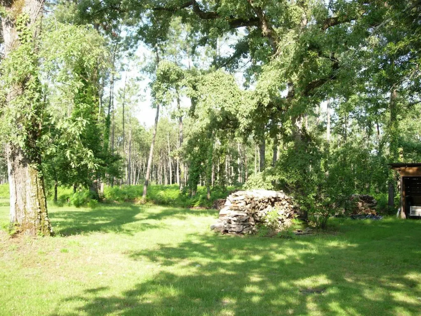 Domaine de Grand Lestrat