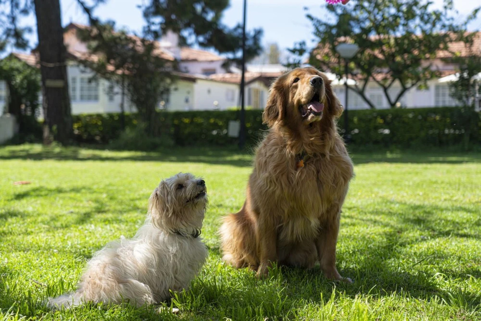 Gateway Coonoor - IHCL SeleQtions