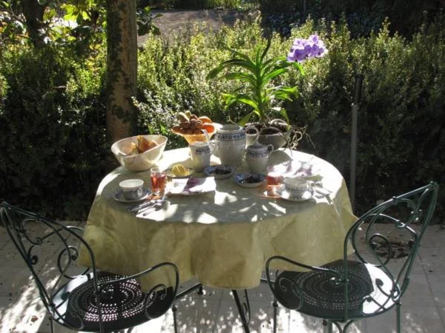 Les Orchidées