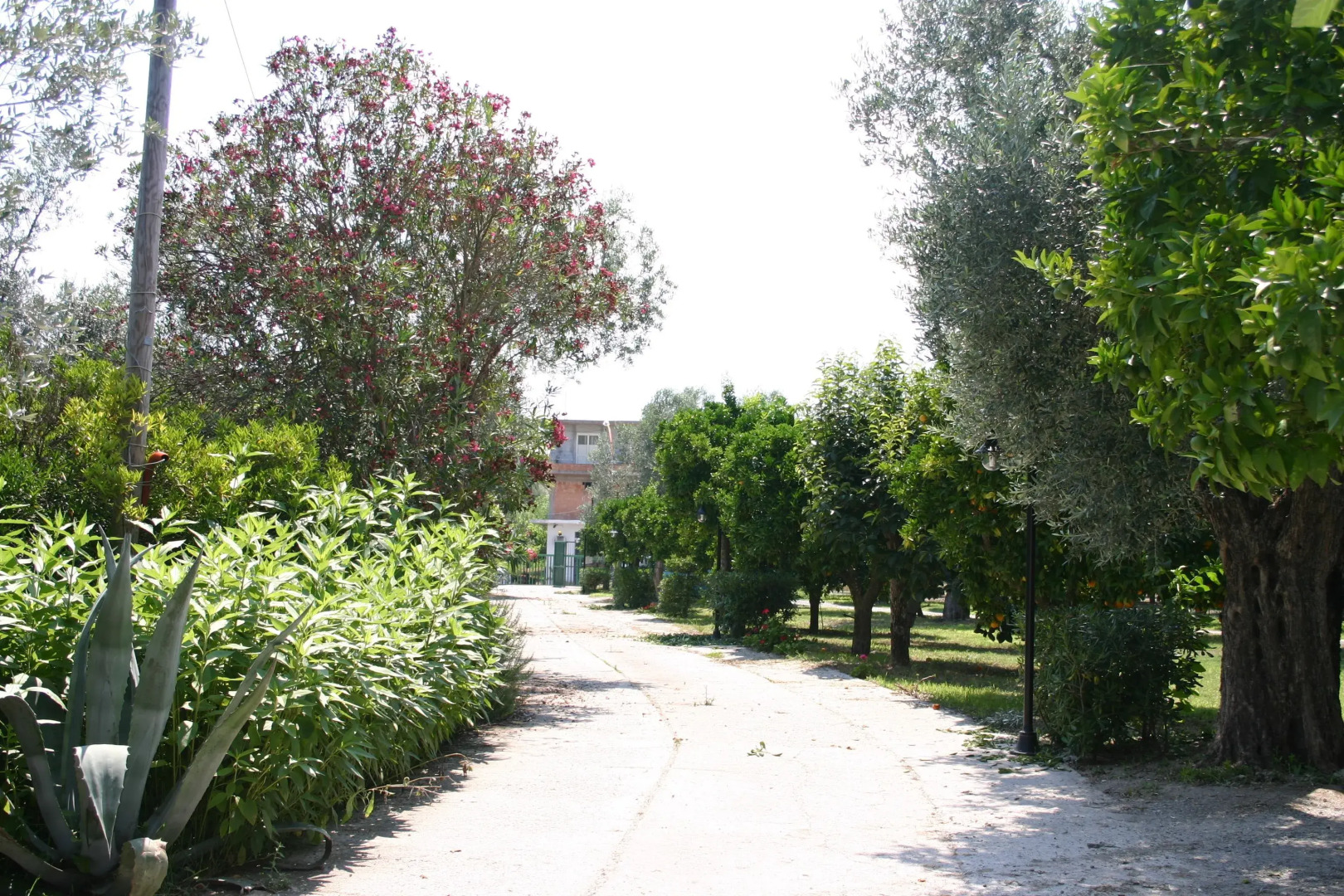 Agriturismo Simonello