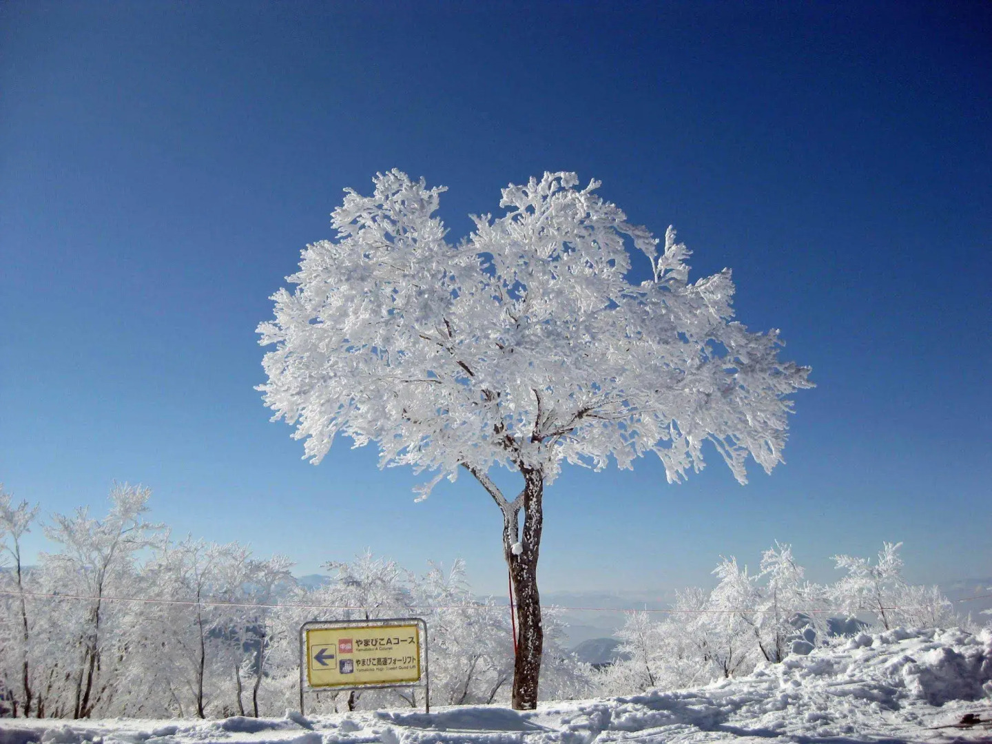 Wafu Pension MIYAZAWA