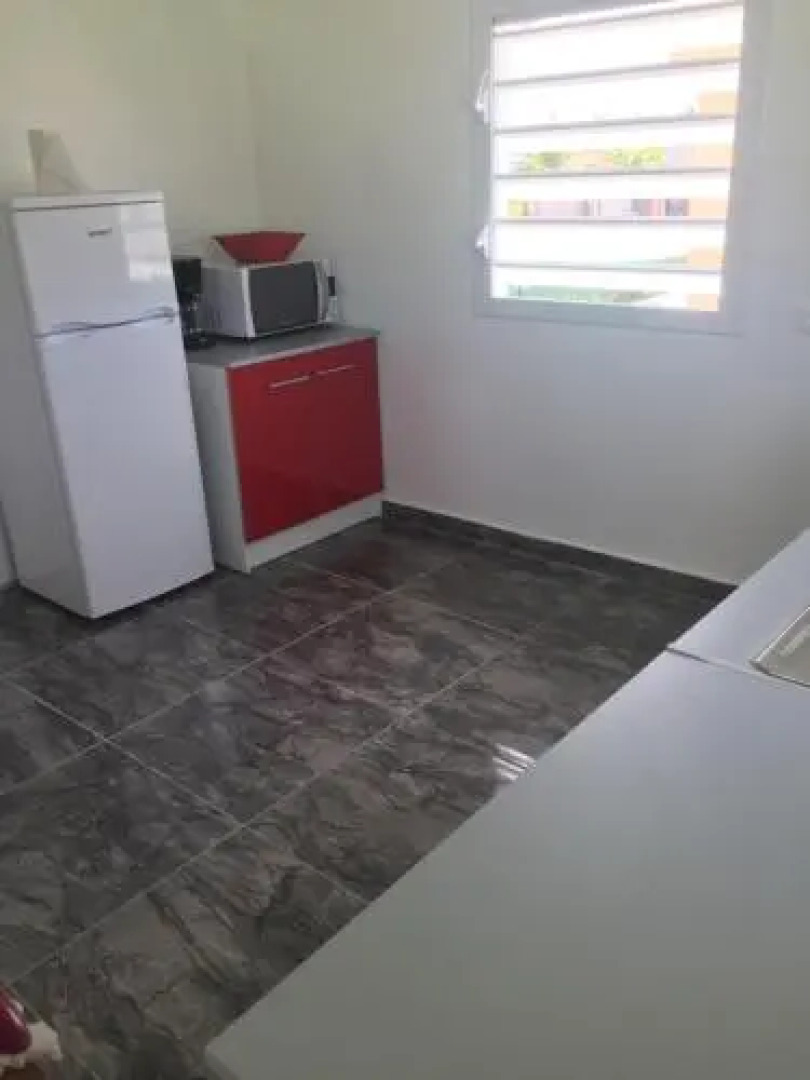 Tropic Arth Paradise