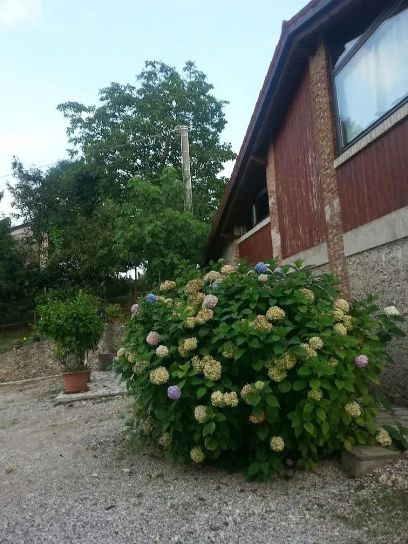 Bed and Breakfast  BeatiPaoli