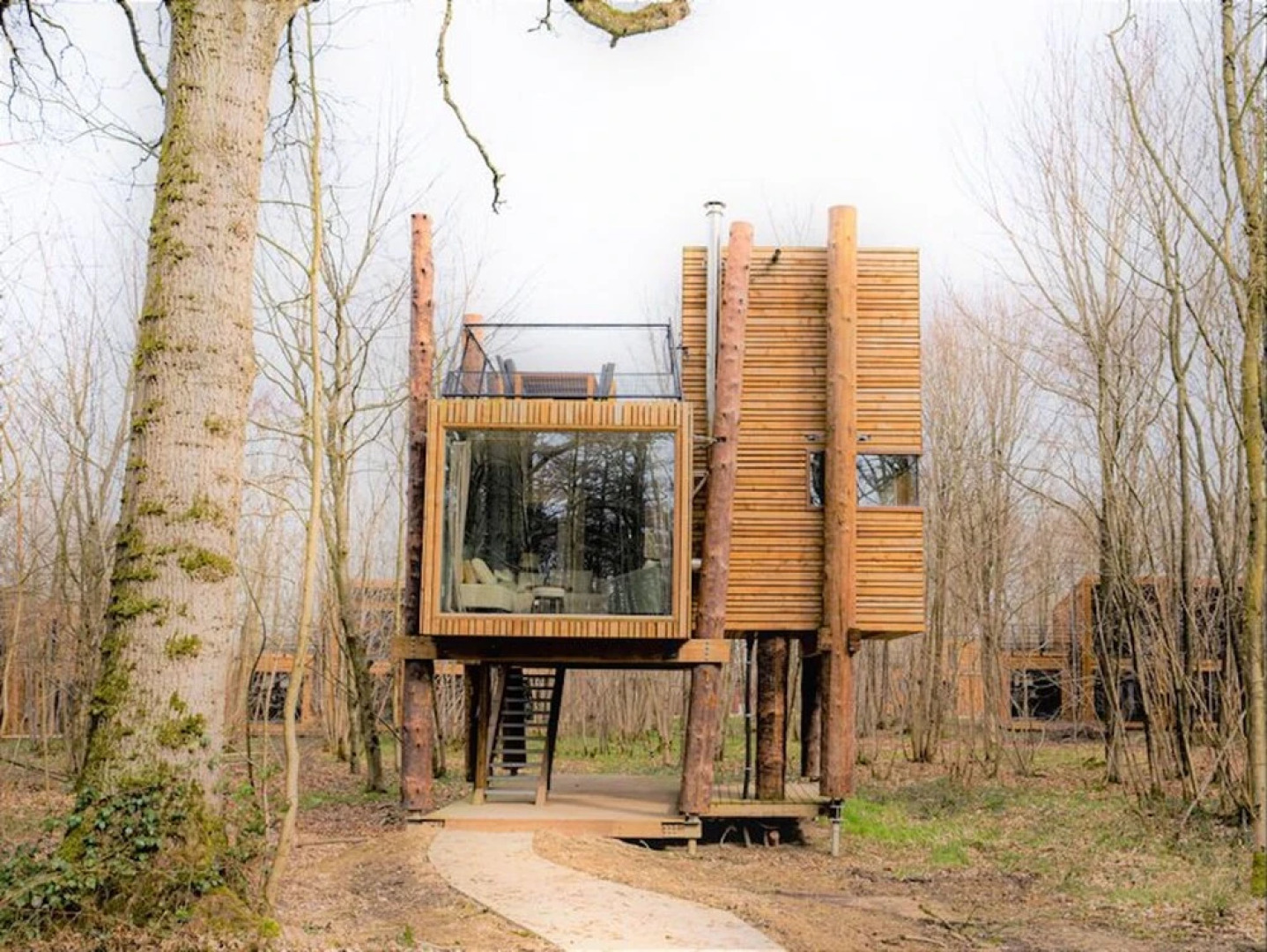 Treeloft Adventure in Nature for 4 People 5