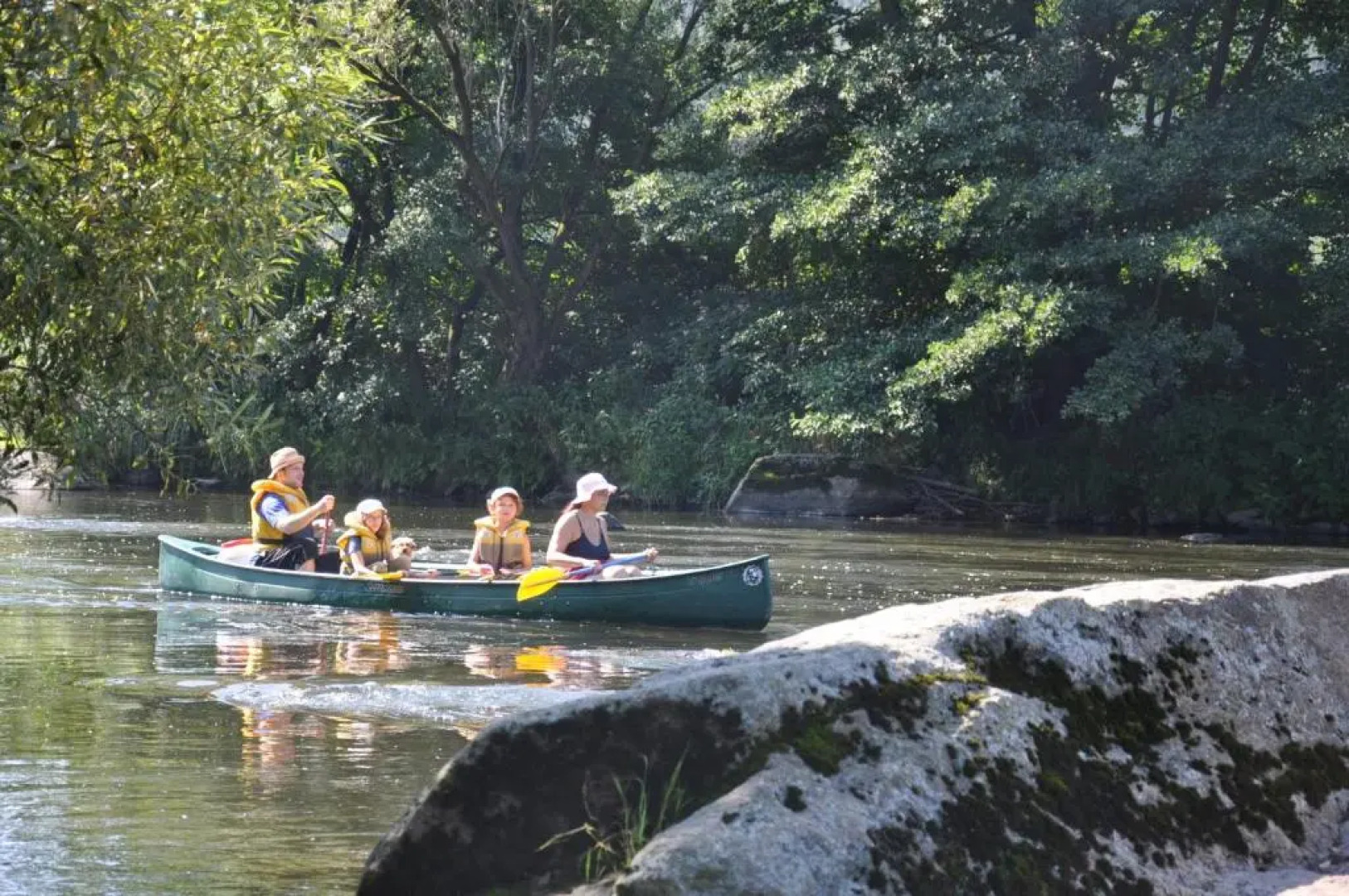 Ferienwohnung Regentalblick
