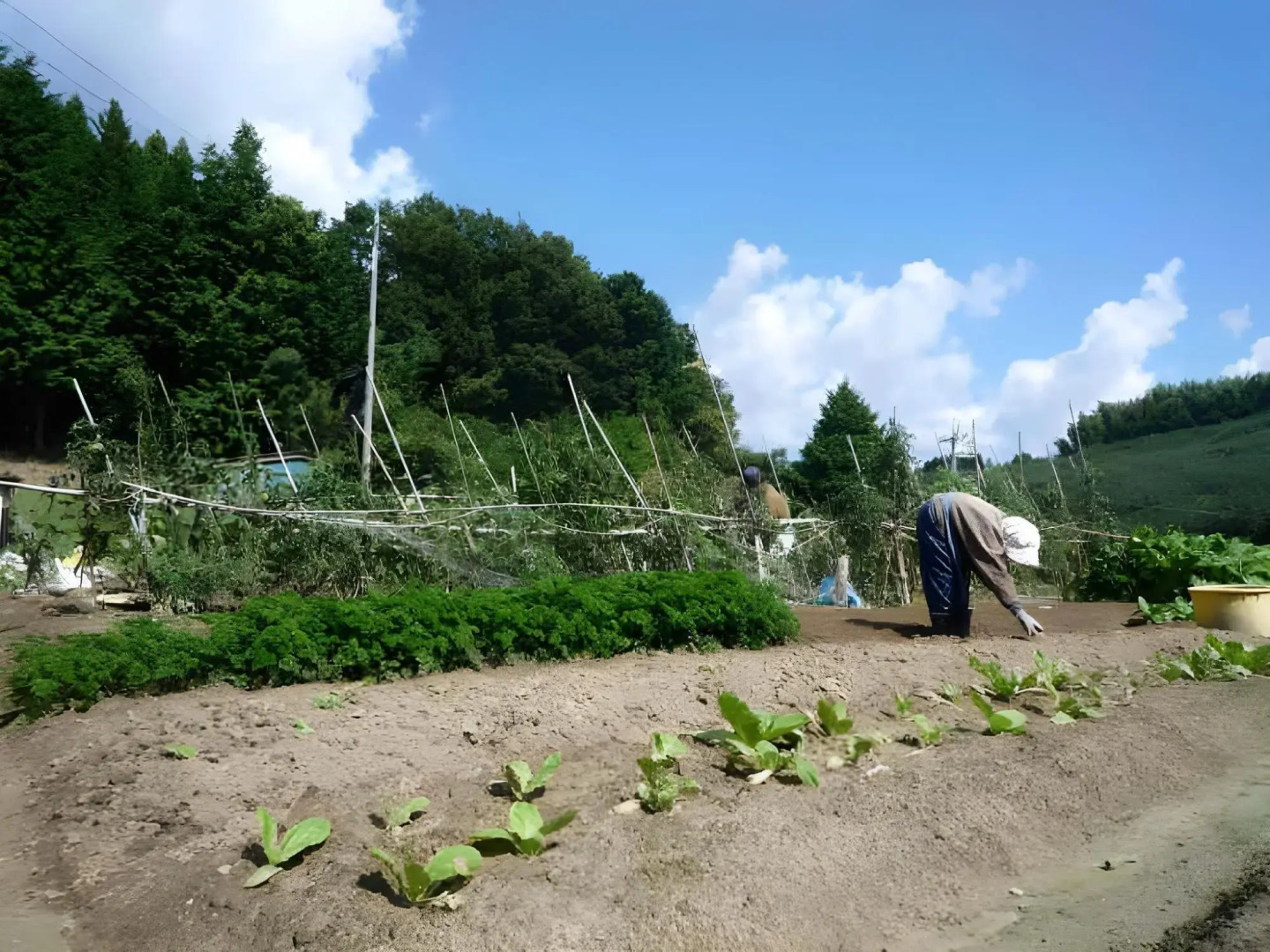 Minshuku Ryokan Miuraya