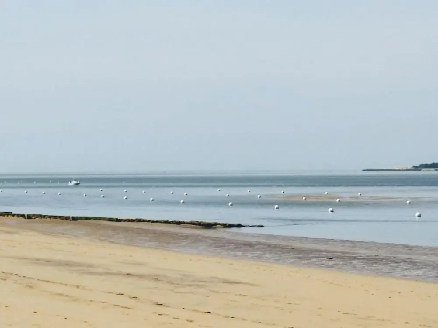 Appartement Panoramic