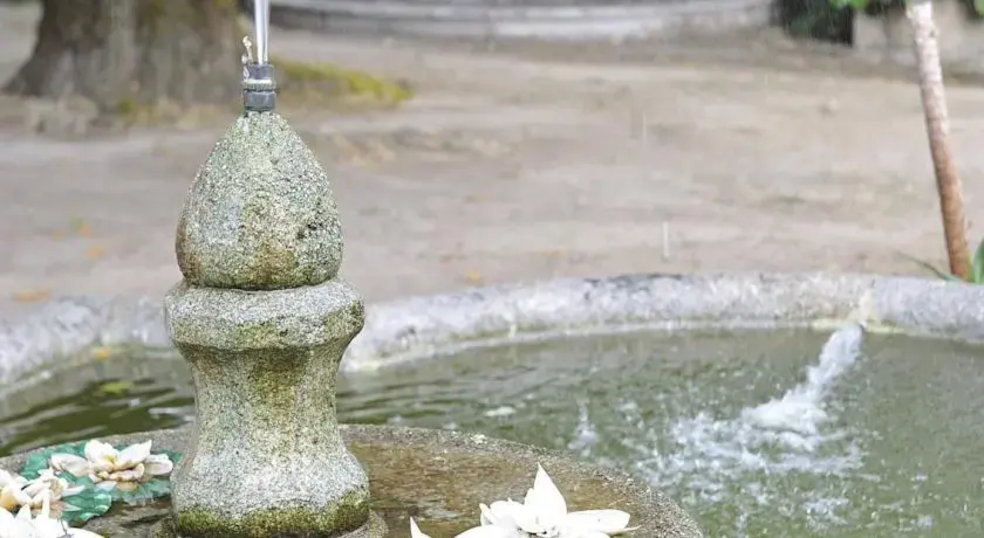 Solar Ponces de Carvalho