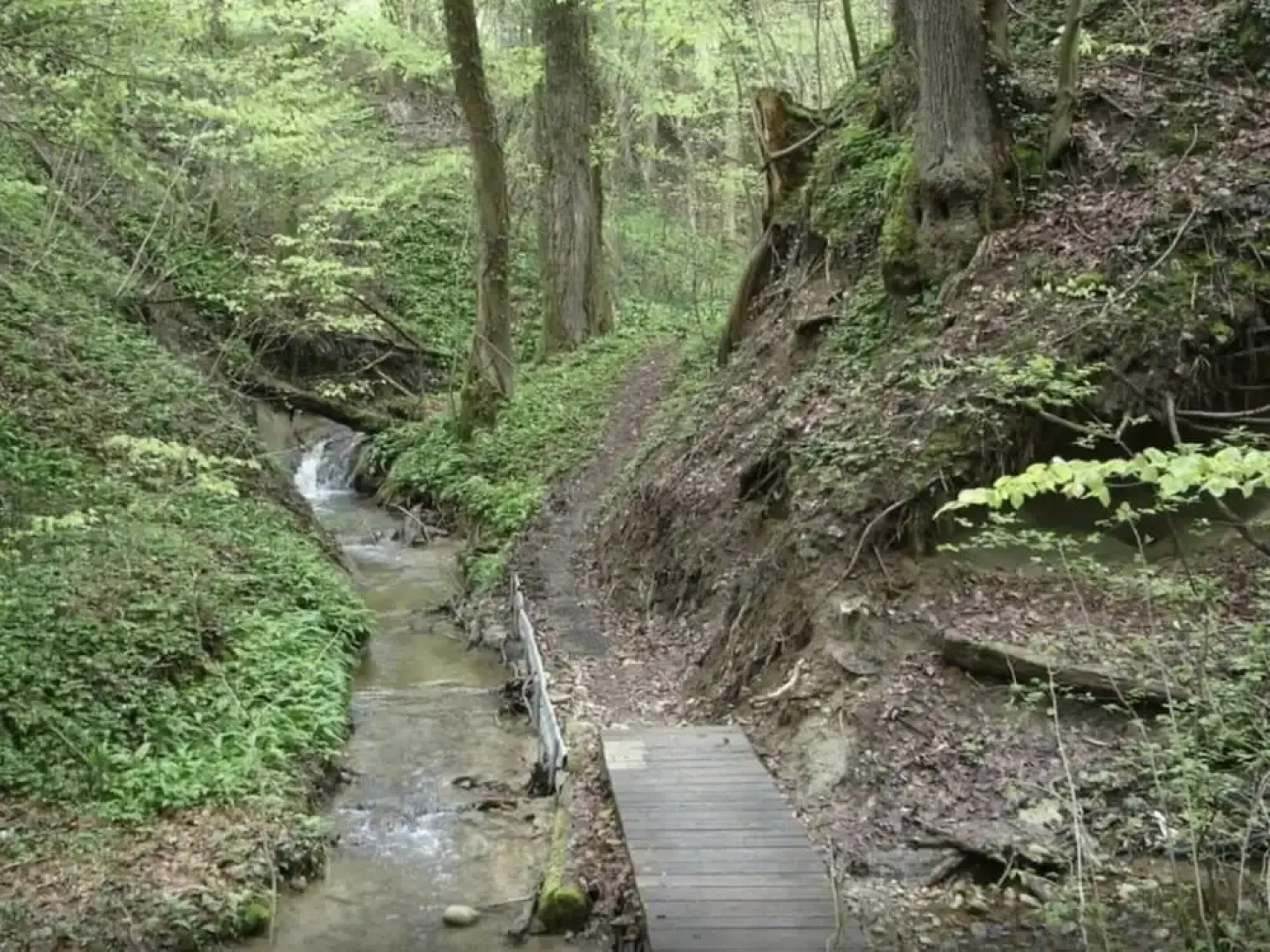 Pleasant Apartment With Terrace