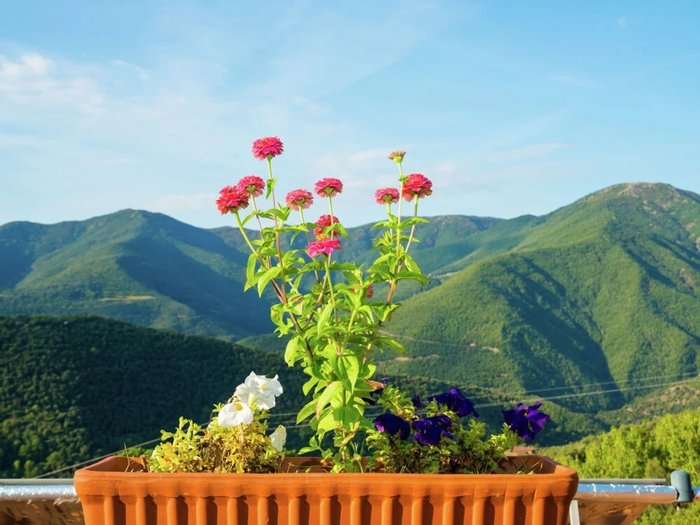 Authentic Country House With Swimming Pool in Nature Park Montseny