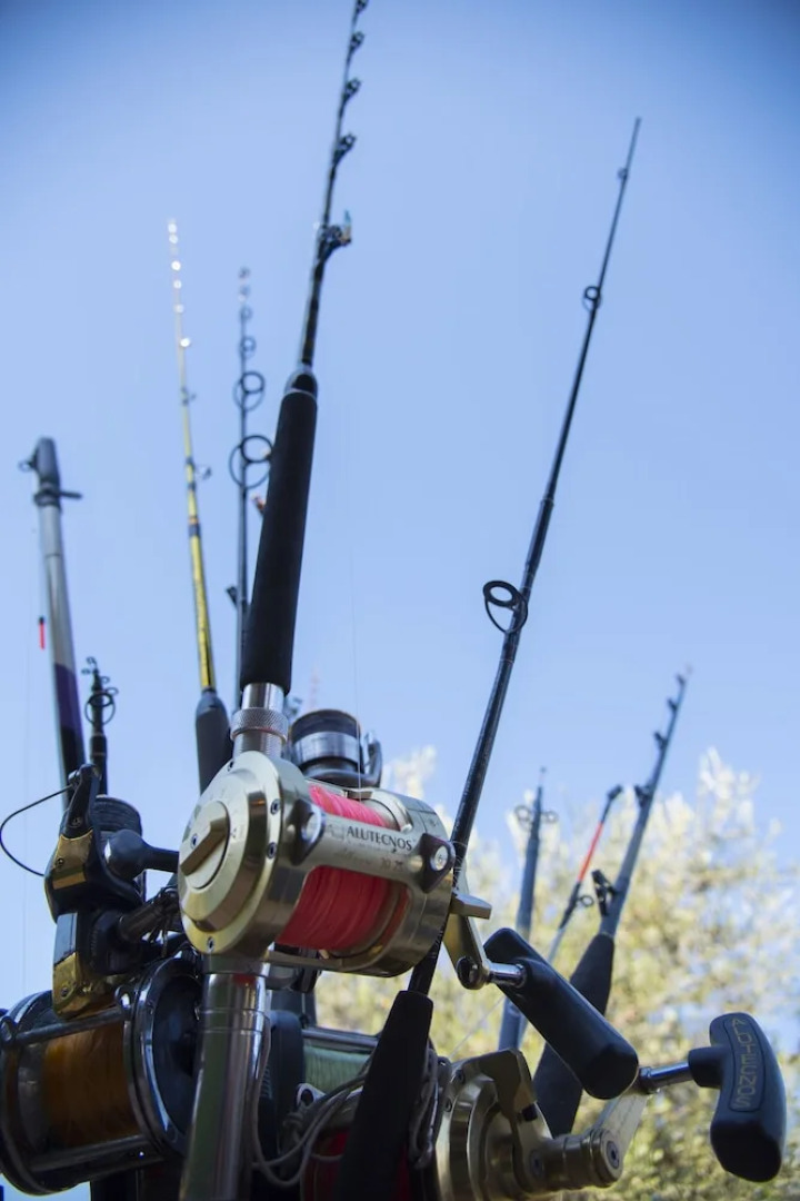 Villa Tresino Flats Santa Maria di Castellabate