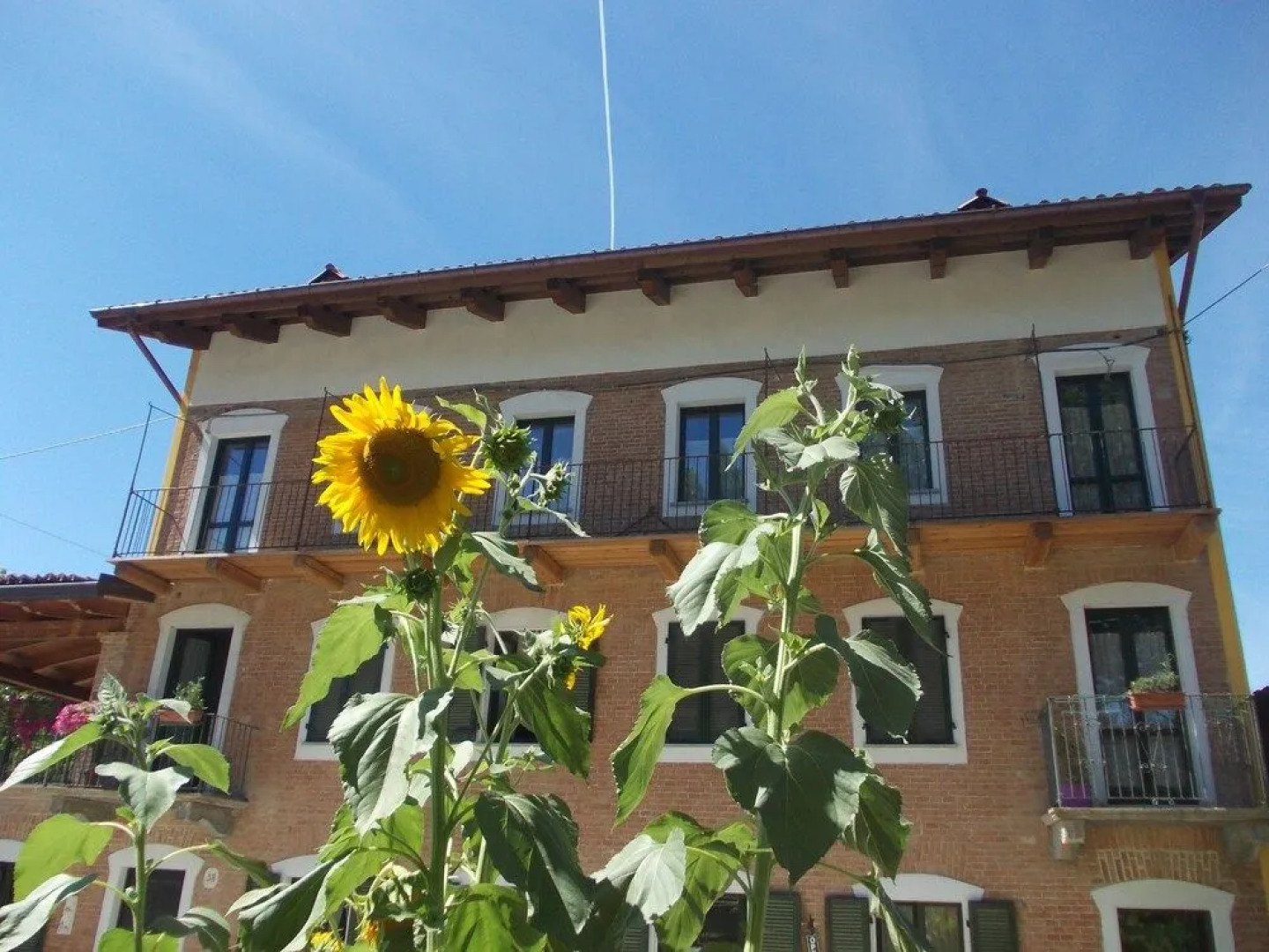 Locanda del Gelso Bianco
