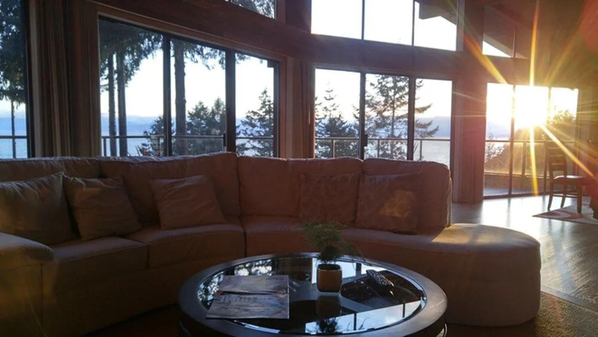 Sunshine Coast Treetop Wonderland